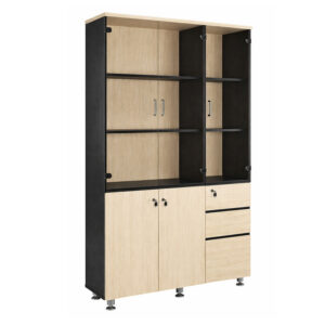 Tủ tài liệu văn phòng The One cao cấp LE1960-3G4D
